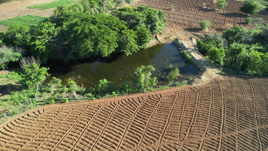 Tobacco fields or soil prepared for cultivation
