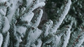 Vertical background. Snowy winter. Flakes of snow falling on spruce tree. Christmas tree is covered with snow. Winter nature background. - Powered by Shutterstock - Get 15% off with code: PIKWIZARD15