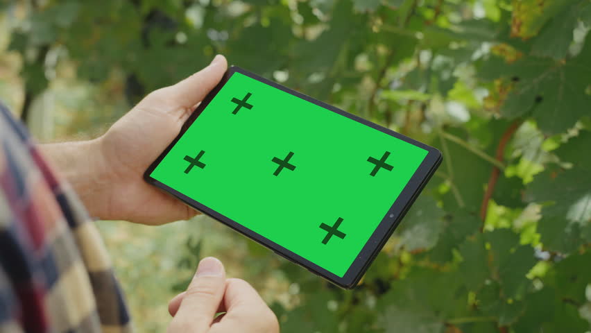 Close-up view of a farmer in vineyard holding green chroma key tablet screen and using modern tech for data analysis | Shutterstock HD Video #1111093167