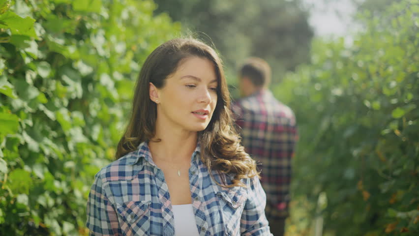 Beautiful young woman with tablet in hands checking ripe grapes in vineyard in summer time | Shutterstock HD Video #1111093219