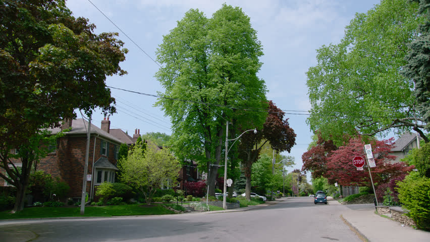 Toronto Urban City Streets Scenes