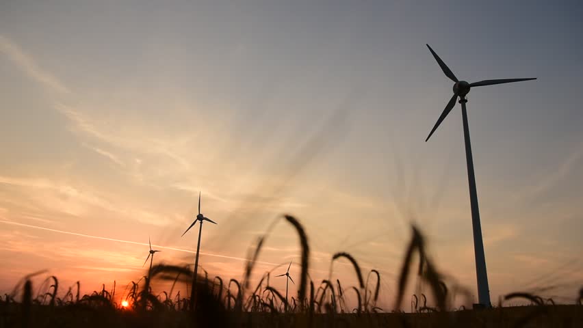 Wind 17. Wind 17. Green qzin улыбка wind №17 здоровая дыхательная система, 1130 г. Wind 17. Wind 17.