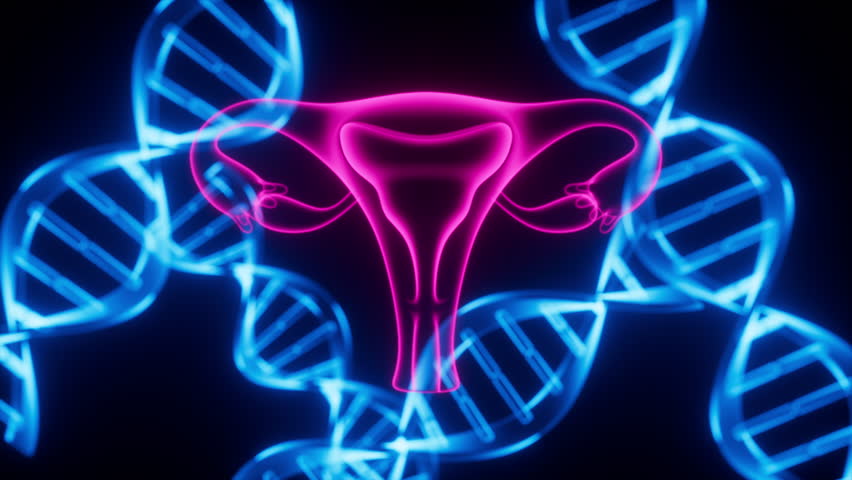 Uterus and DNA, reproductive system and genetic inheritance, 3d rendering. Motion graphic. Royalty-Free Stock Footage #1111111857