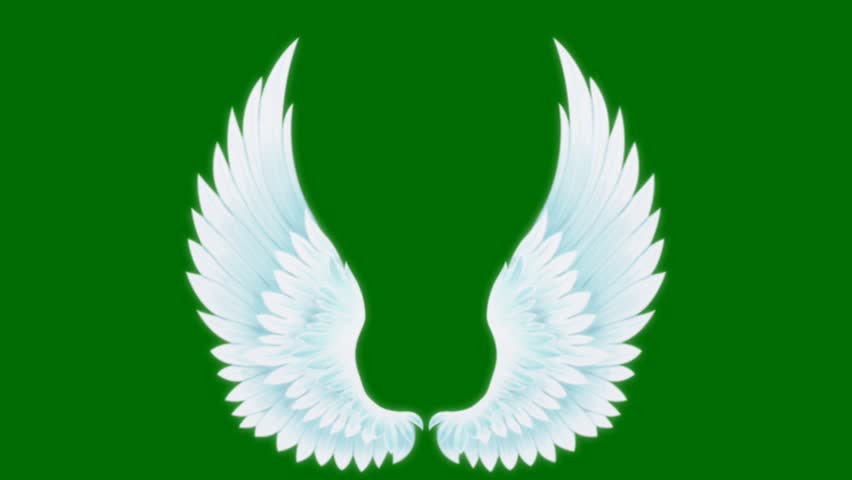 angel wings green screen, 3D Animation, Ultra High Definition, 4k video. Royalty-Free Stock Footage #1111112241