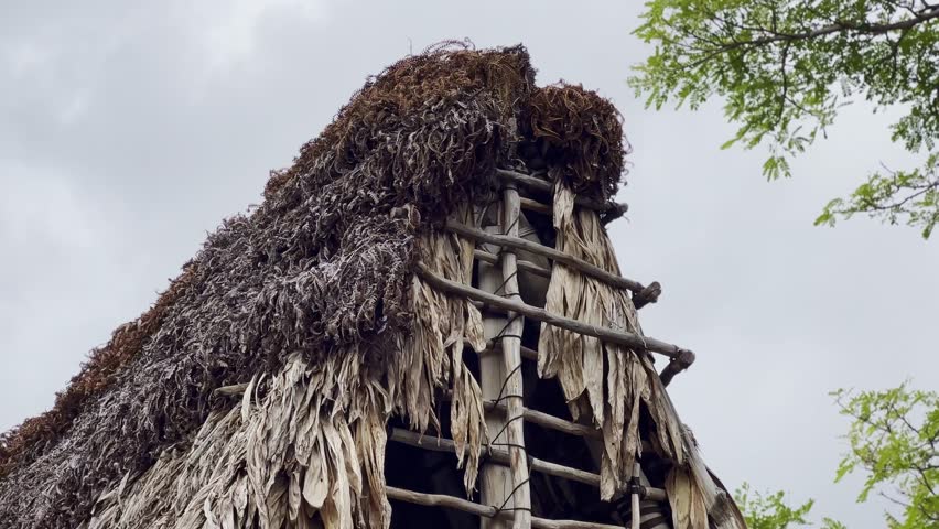 Cinematic close-up booming down shot an ancient Hawaiian thatched roof hale at Pu'uhonua O Honaunau National Historical Park in Hawai'i. 4K HDR at 30 FPS Royalty-Free Stock Footage #1111112659