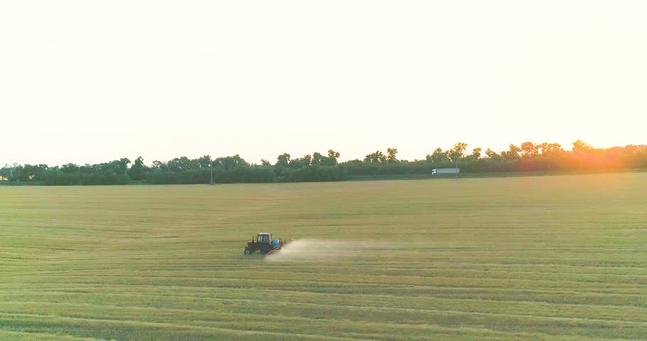 Tractor sprays wheat drone view. Spraying wheat fields with pesticides. Protection against pests of the field with wheat. Royalty-Free Stock Footage #1111122499