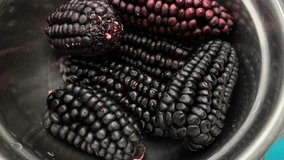 Video of purple corn, Peruvian food used to make chicha morada. Concept of natural ingredients.