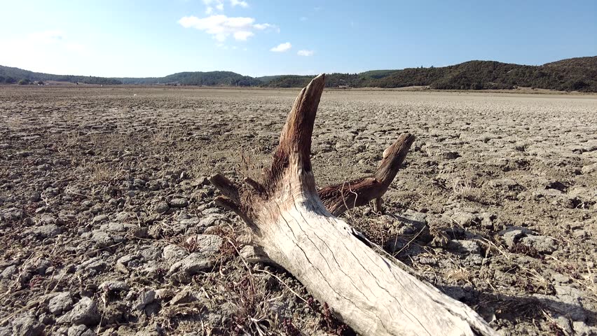 horizontal shots of a dry branch visible above the cracked soil of a lake that has dried up due to global warming Royalty-Free Stock Footage #1111139851