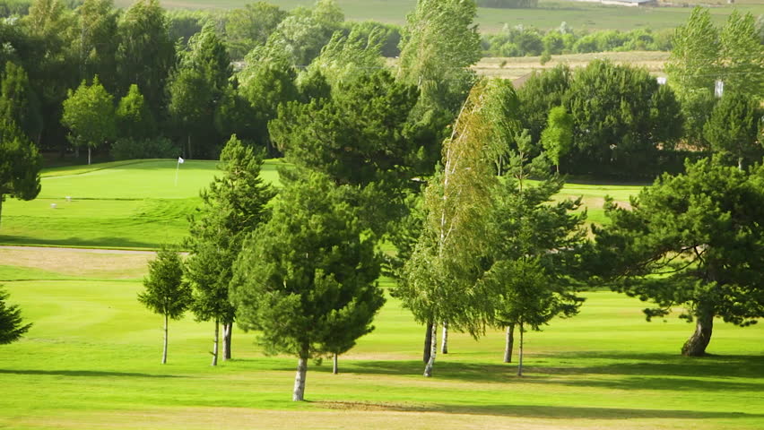 Landscape and golf course with with trees and strong winds.