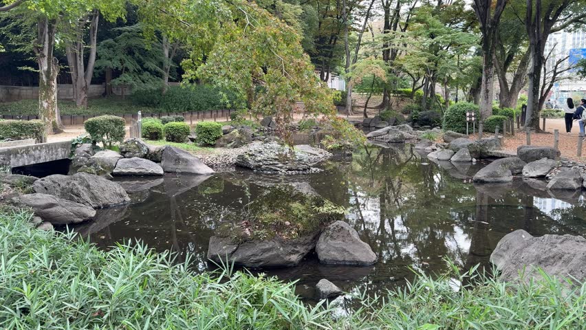 Shiba Park Autumn, Japan Tokyo 2023 Royalty-Free Stock Footage #1111179485