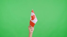 Hand waving a pennant of a canadian national flag