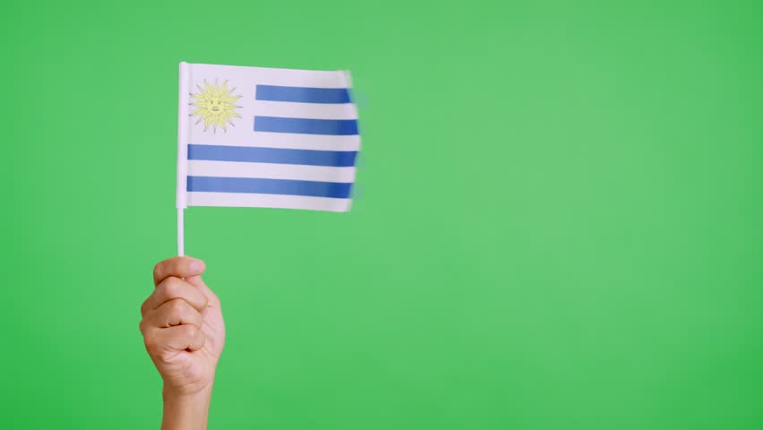 Wind waving a uruguayan pennant holding by a hand