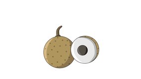 animated video of the longan fruit icon