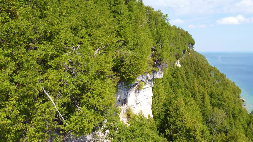 High Rocky Cliff Forest Aerial with Birds Flying in Background in Georgian Bay, Ontario, Canada
