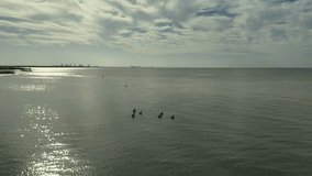 Pelican Flight aerial view off Ft Myers Beach Florida