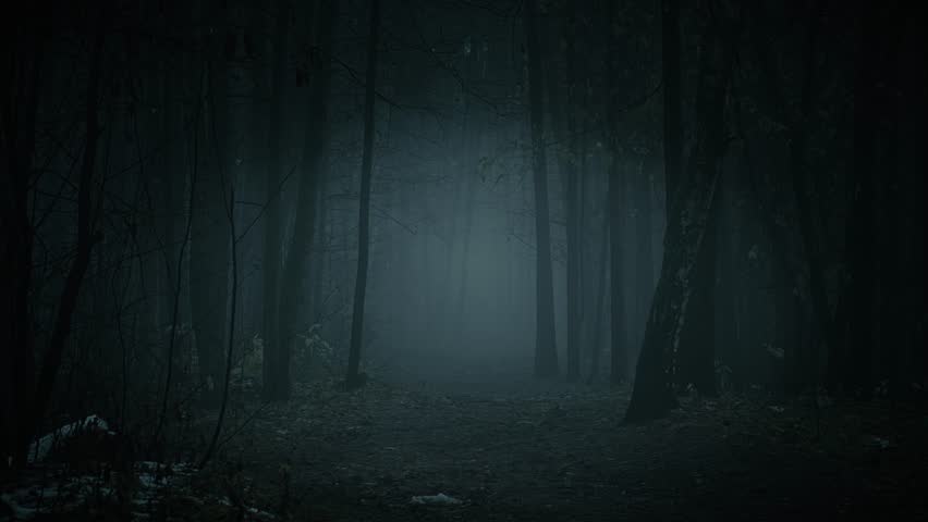 Bare tree trunks in a scary autumn forest. Mysterious fog in the early morning. Gloomy landscape with the first snow and fallen leaves.
