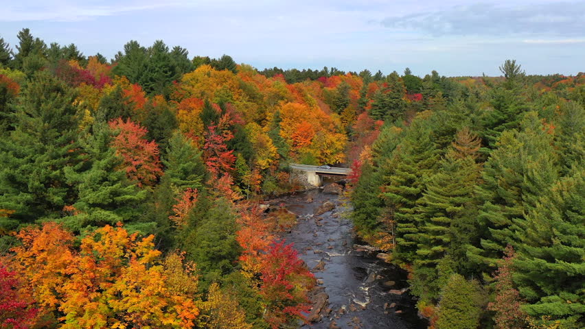 Aerial view of Fall (Autumn) foliage around the St. Regis River in Potsdam, New York.