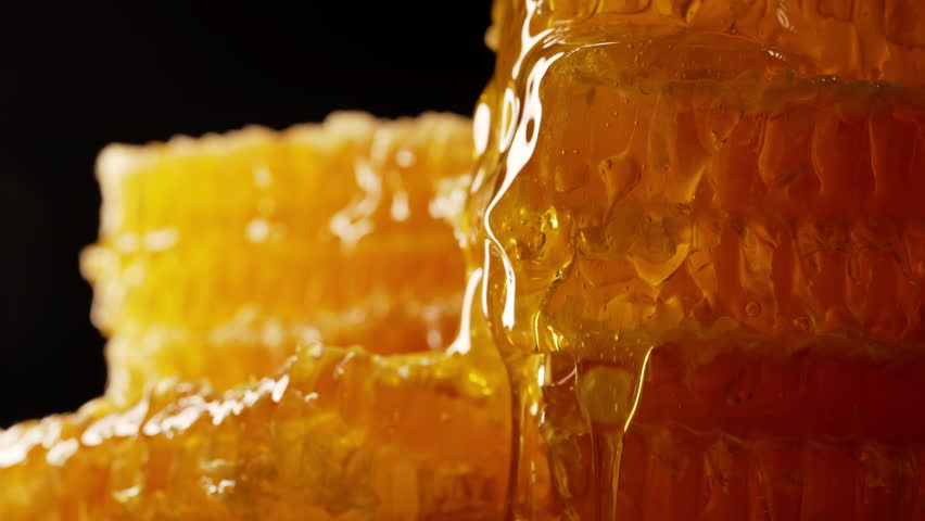 Honey dripping from honeycombs extreme macro.Natural bees wax cells, gold elixir