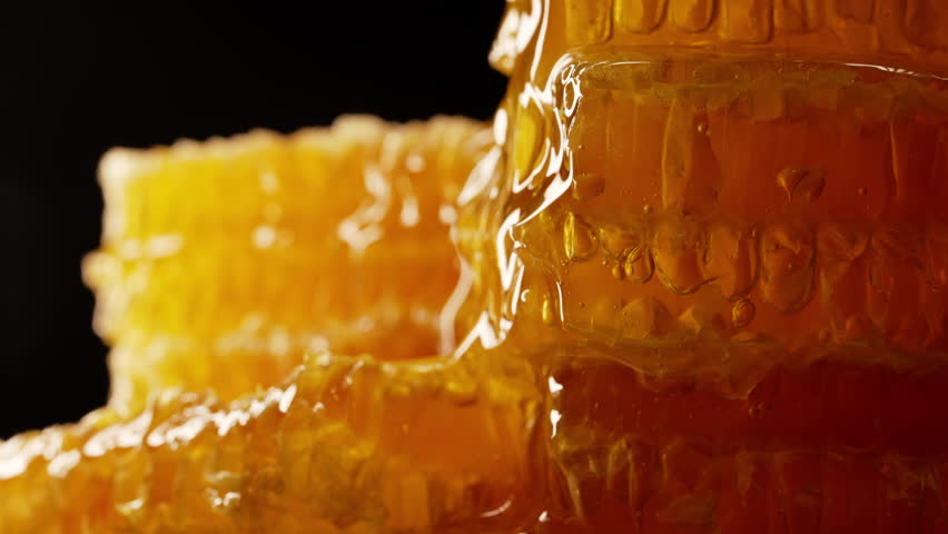 Honey dripping from honeycombs extreme macro.Natural bees wax cells, gold elixir
