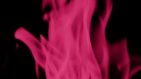 Video of of fire flames line or flames isolated on black background toned in pink or magenta. Huge fire flames close up.