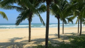 Tropical beach. Beautiful beach with palm trees. My Khe beach. Da Nang, Vietnam.