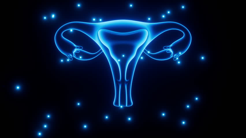 Uterus and menstrual cycle, gynecological health, 3d rendering. Motion graphic. Royalty-Free Stock Footage #1111233573