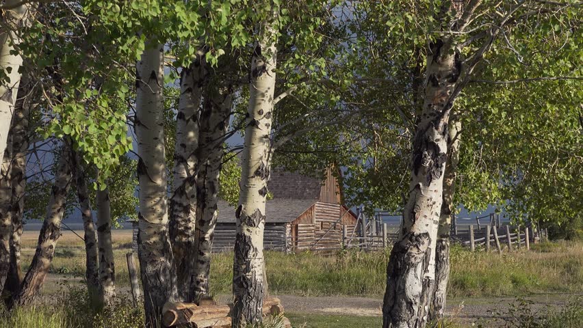 John Moulton barn on Mormon Row Histroric District in the Grand Teton National Park mountain range, Wyoming, USA