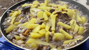 process of cooking wild mushroom with potatoes. delicious dish of mushrooms. cooked on a picnic
