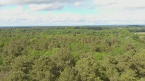 Drone shot of french forest