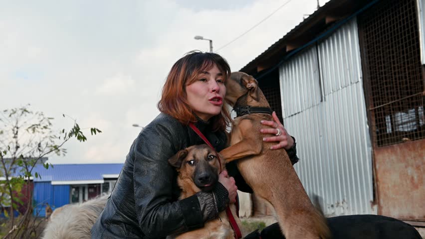 Animal shelter volunteer takes care of dogs. Dog at the shelter. Lonley dogs in cage with cheerful woman volunteer