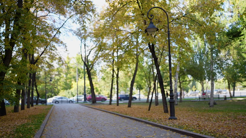 Pathway covered by yellow leaves in autumnal park. Beautiful park in fall season. Peaceful autumn trees with falling yellow leaves in the park