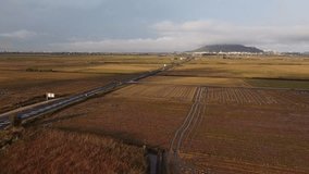 Video from a drone of the road leading to Cullera in the province of Valencia, Spain, between rice fields in planting season with the mountain of Cullera in the background. Concept of agriculture