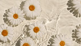 White daisies flowers on water surface and of waves on white background. Sun and shadows. Pure water with reflections sunlight and shadows in slow motion. Valentines day texture.  - Powered by Shutterstock - Get 15% off with code: PIKWIZARD15