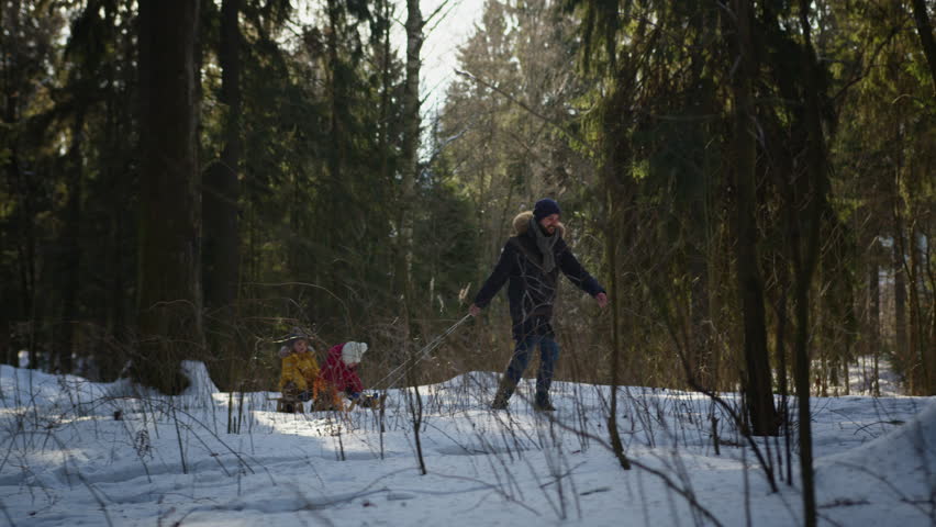Dad pulls wooden sled with two children walking in winter forest family weekend.