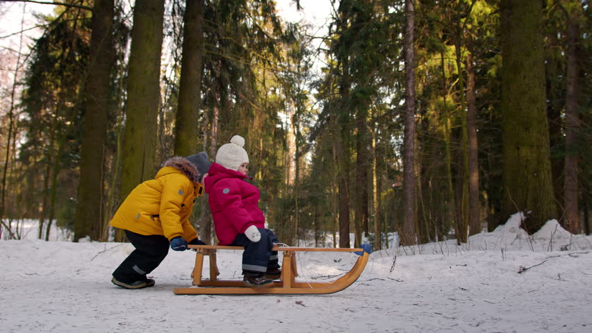 Boy is pushing wooden sleigh with girl sitting in it walking in winter forest.