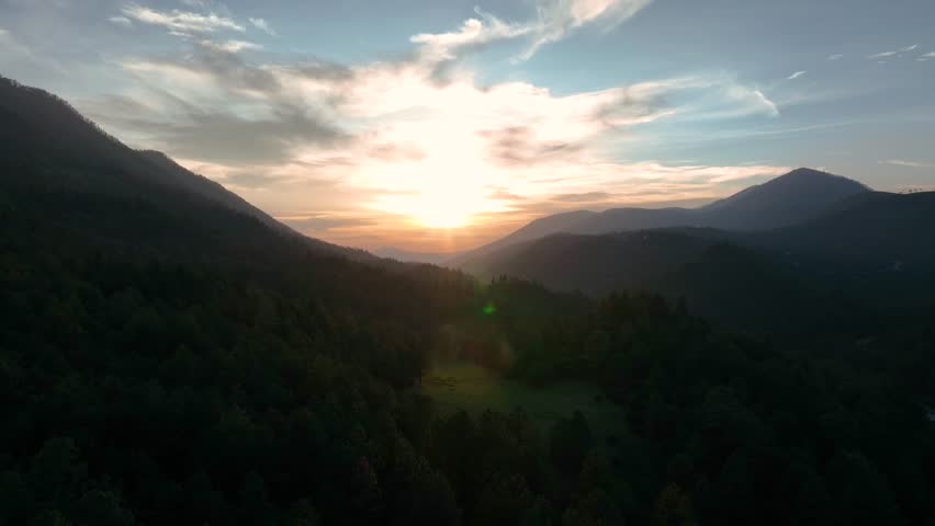 sunset in the forest chasing the sun