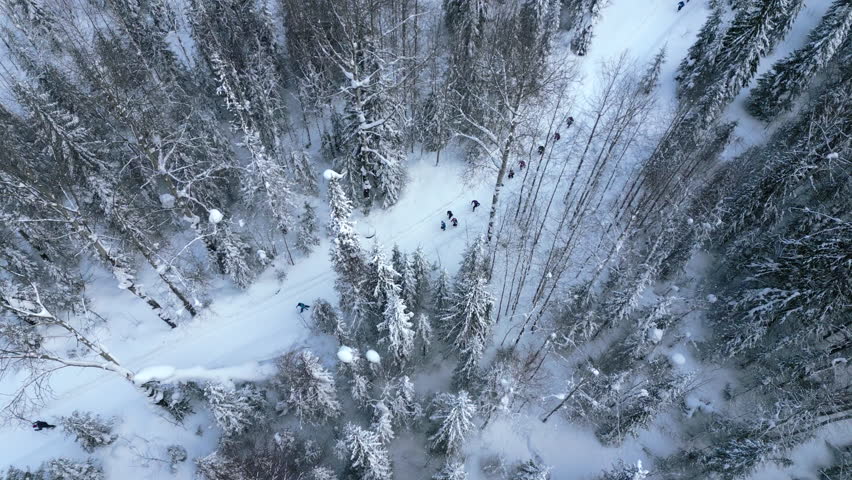 Aerial top down view of group of hikers following one by one the snow covered path. Clip. Winter forest and falling snow. Royalty-Free Stock Footage #1111271953
