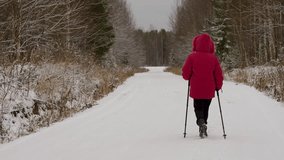 Elderly woman hiker walking in winter forest. Woman in winter park using fitness exercise walking sticks, healthy lifestyle at winter weather