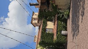 Vertical video. A large beautiful country house braided with ivy or wild grapes.