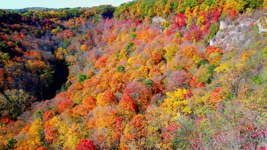 Panoramic top view of autumn forest in Hamilton, Canada.