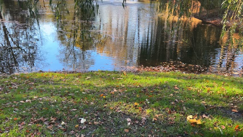 Fountain in the middle of a lake in an autumn park.