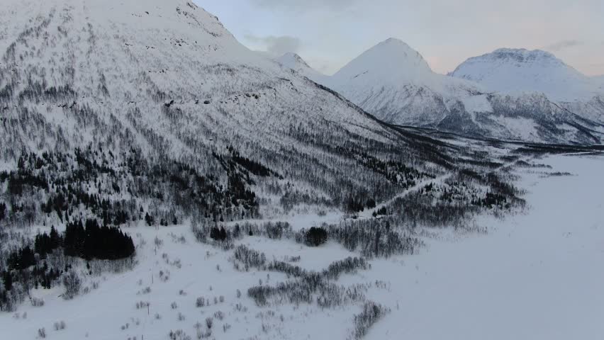 Drone view on the Tromso mountains in winter full of snow showing a forest from above in Norway
