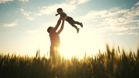 dad throws his son up. nature field sun glare tall grass. loving dad playing with baby. fresh air nature happy family dream content. father silhouette plays baby tosses up in lifestyle park - Powered by Shutterstock - Get 15% off with code: PIKWIZARD15