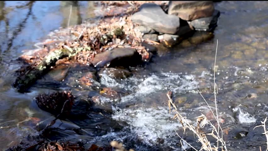 A beautiful slow serene stream in the Appalachian mountains.