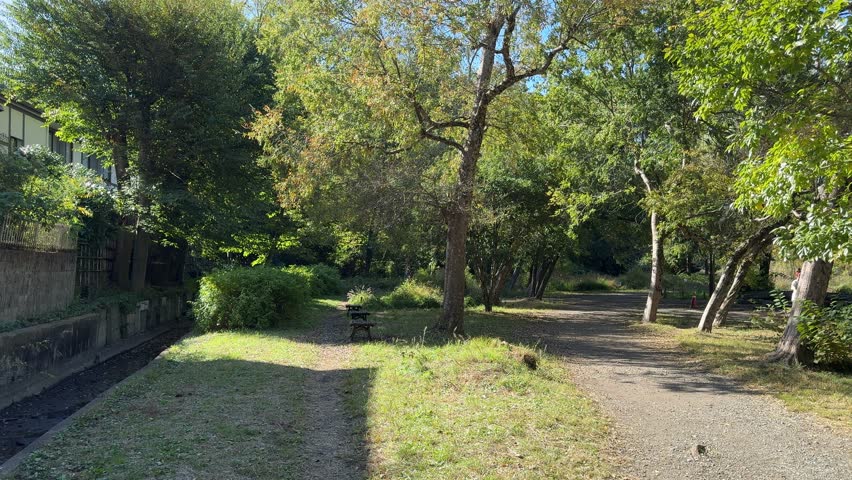 Shakujii Park Landscape, Japan Tokyo 2023