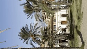 Building in Valencia surrounded by palm trees shaken by wind. Vertical video