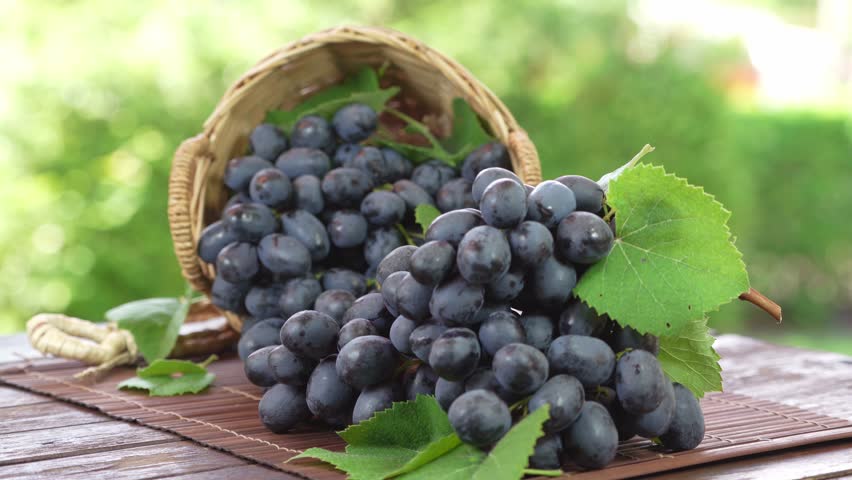 Bunch of Black grapes with leaves in Bamboo basket on wooden table in garden, Black or Purple grape with leaves in blur background.