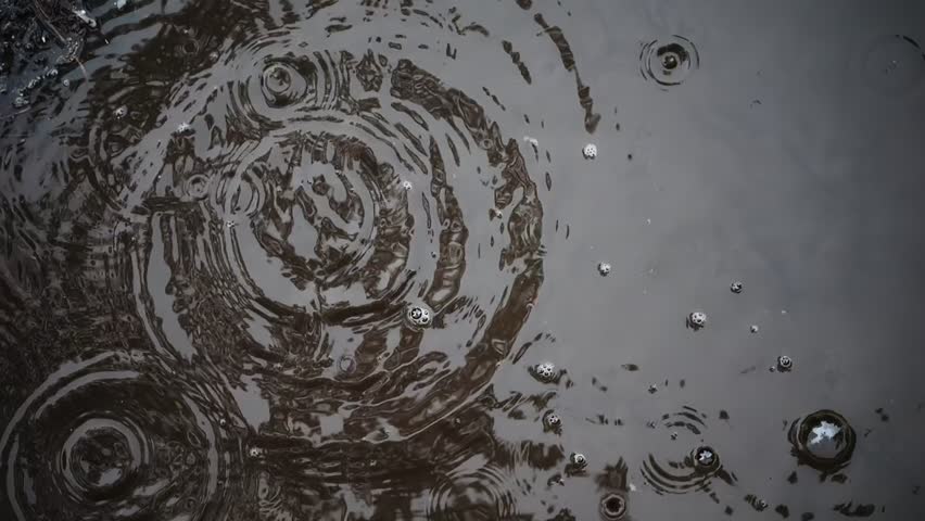 Overhead capture: Raindrops fall slowly into puddle; bubbles and ripples emerge, reflecting trees and sky. Rainy fall mood. Royalty-Free Stock Footage #1111324667