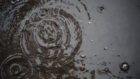 Overhead capture: Raindrops fall slowly into puddle; bubbles and ripples emerge, reflecting trees and sky. Rainy fall mood. - Powered by Shutterstock - Get 15% off with code: PIKWIZARD15