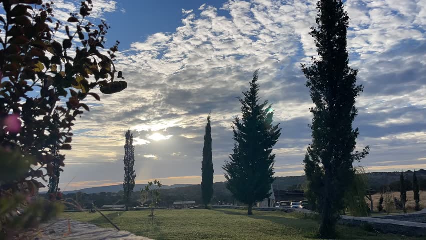 timelapse clouds at sunset and trees 